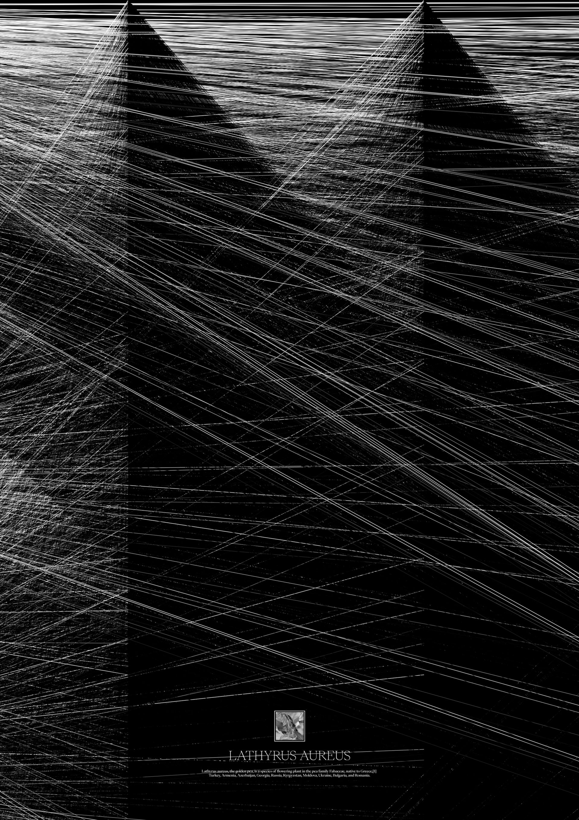 Connection @2022 generative art created in p5js #1 by Vadym Alyekseyenko